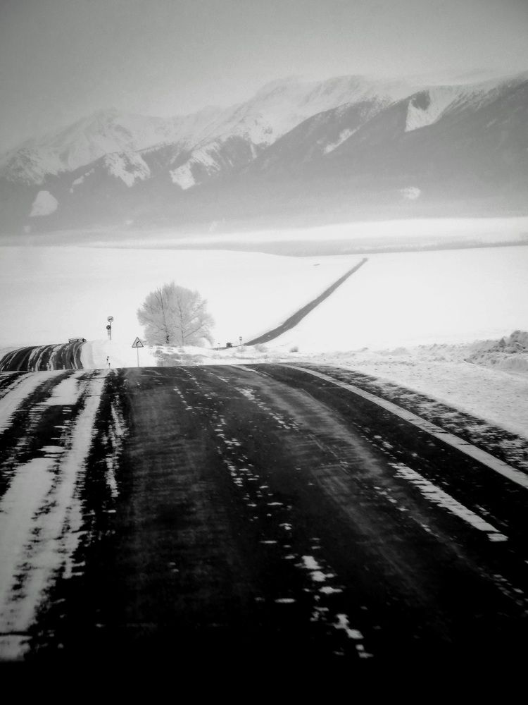 Photograph by Терентьев Георгий