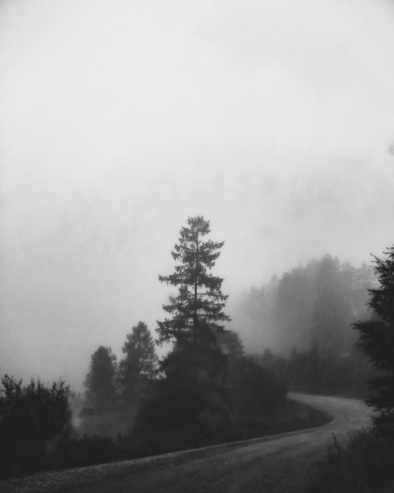 Photograph by Терентьев Георгий