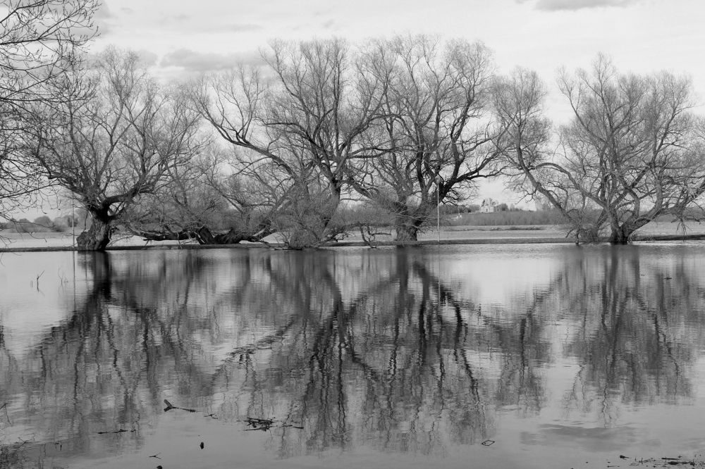 Photograph by Сергей Иванов