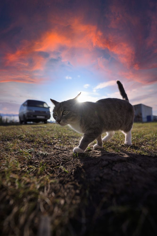 Фотография автора Дмитрий Ляшеев