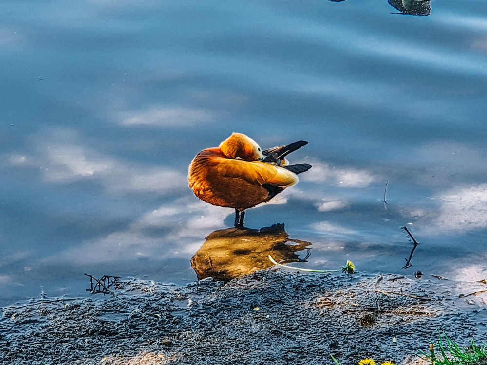 Photograph by Евгений Порсов