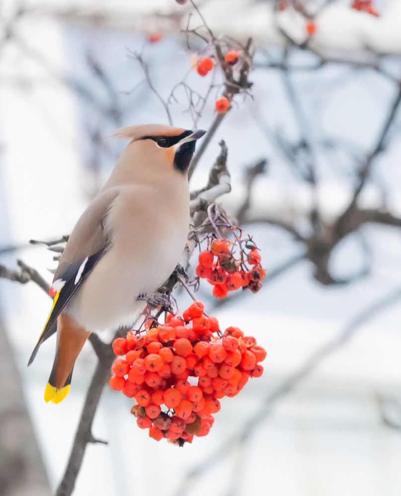 Photograph by Галина Патрушева