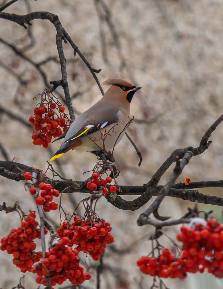 Photograph by Галина Патрушева
