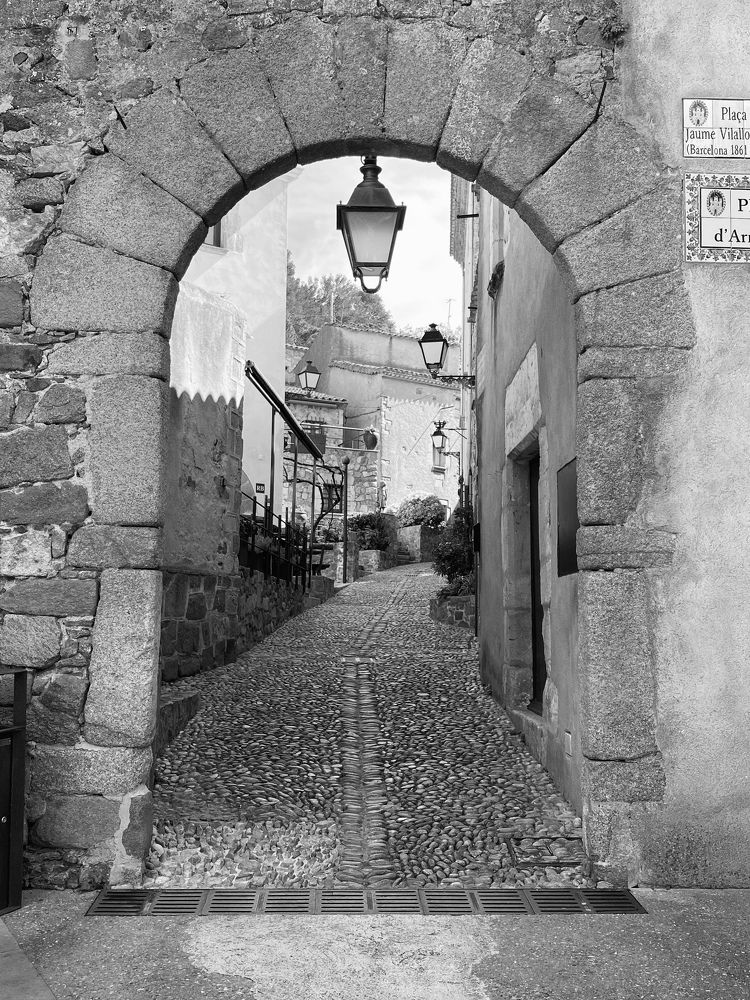 Photograph by Oksana Sydorenko