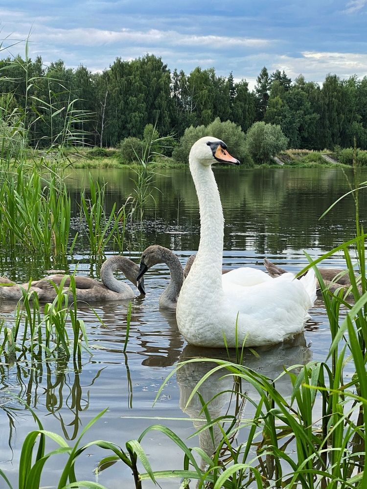 Photograph by Oksana Sydorenko