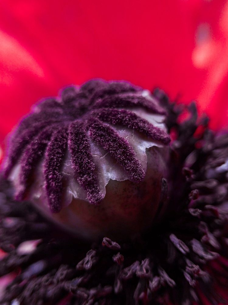 Photograph by Наташа Черепенина