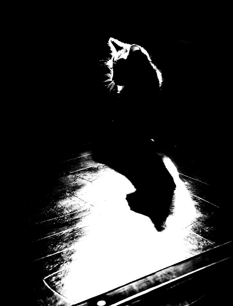 Photograph by Марина