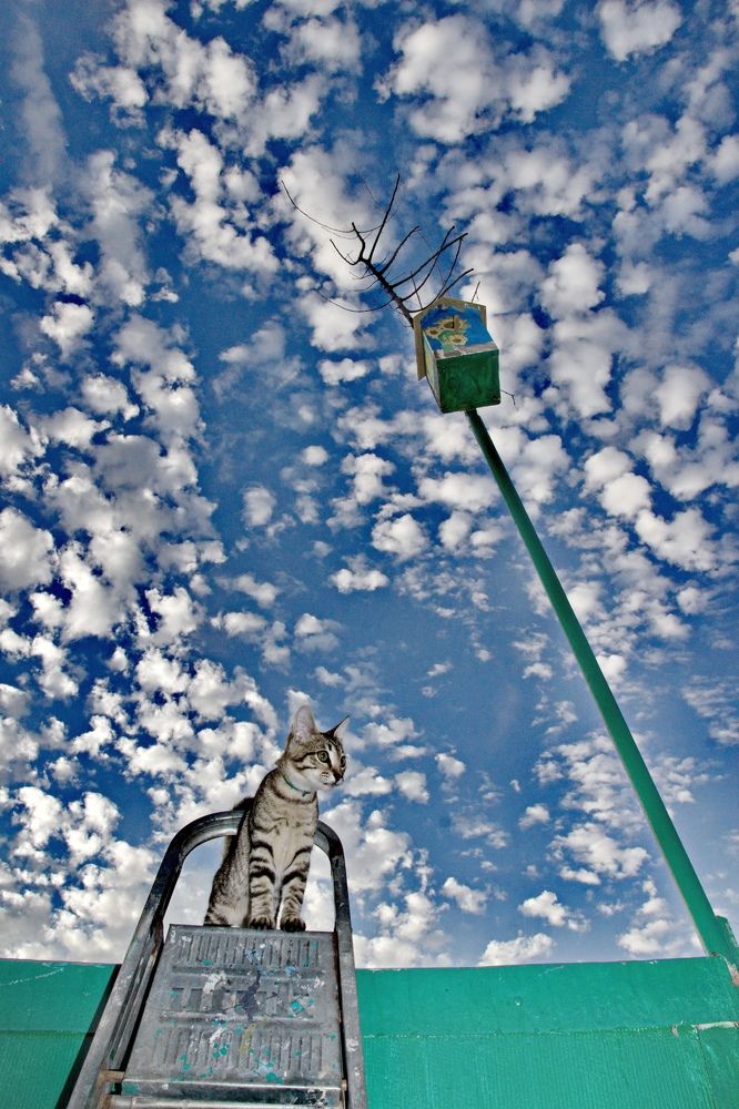 Photograph by Марина