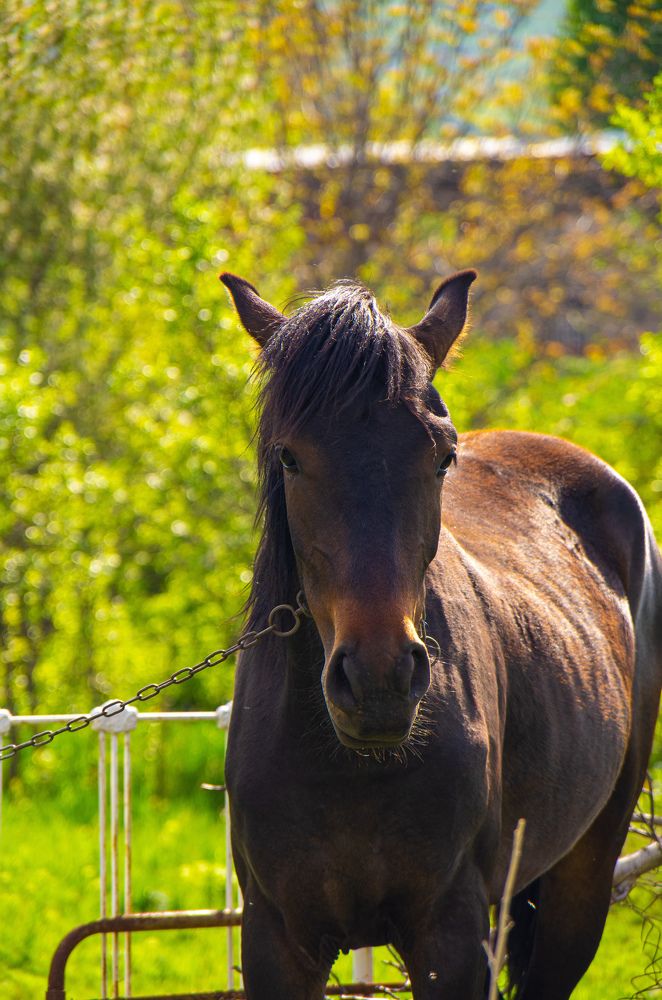 Фотография автора Hovhannes Nersisyan