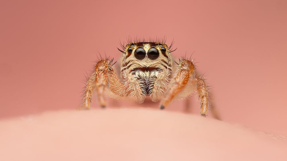 Photograph by Thierry KIEFFER