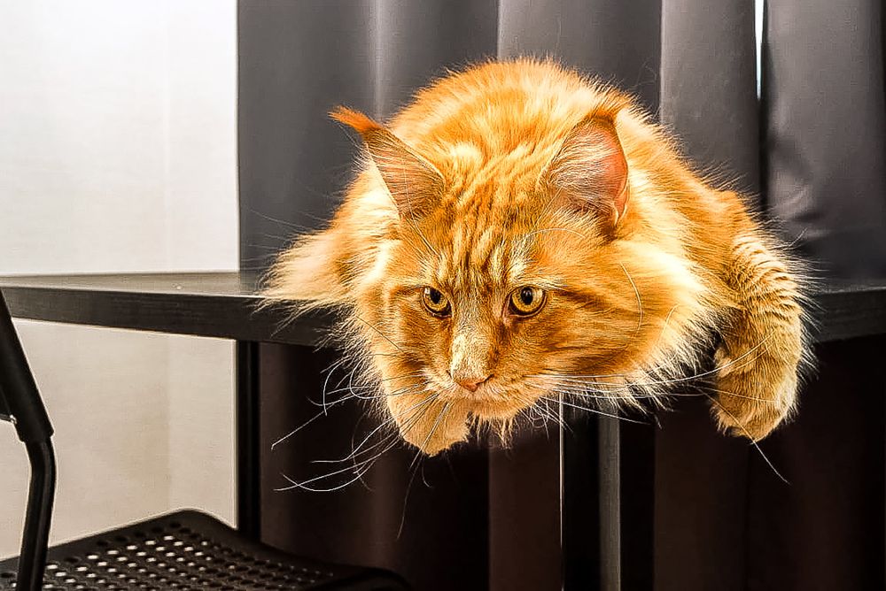 Photograph by Генри Морган