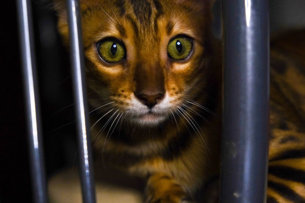 Photograph by Анжелика