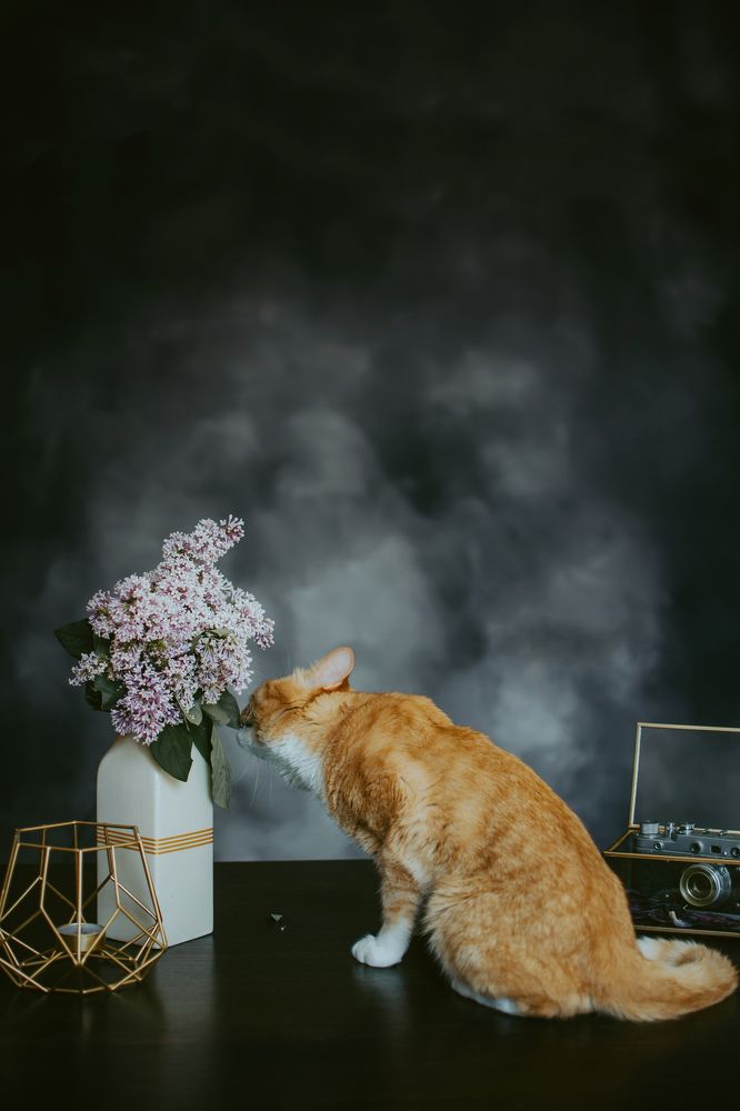 Photograph by Людмила Зяблова