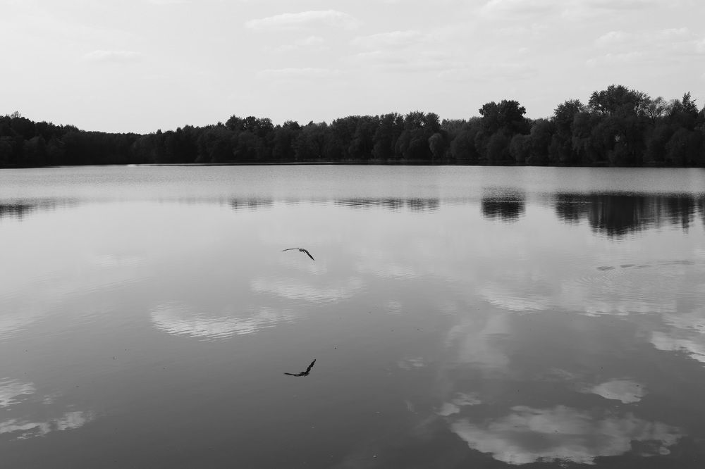Фотография автора Ольга Варварич