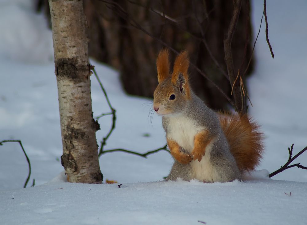 Photograph by Оксана Галлямова