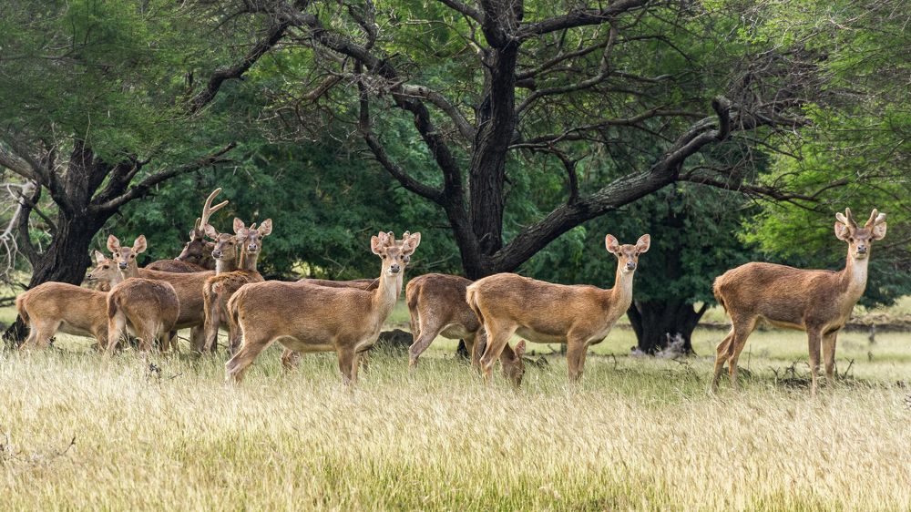 Photograph by Наталья Кокорина