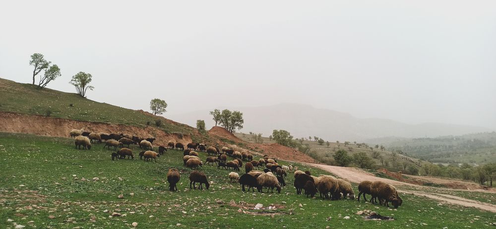 Photograph by Reza Riahi