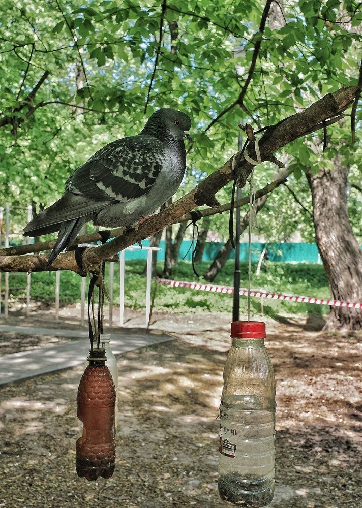 Photograph by Наталья Сафронова