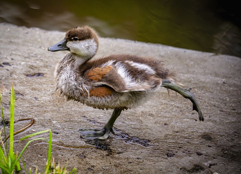 Photograph by Katja Sen