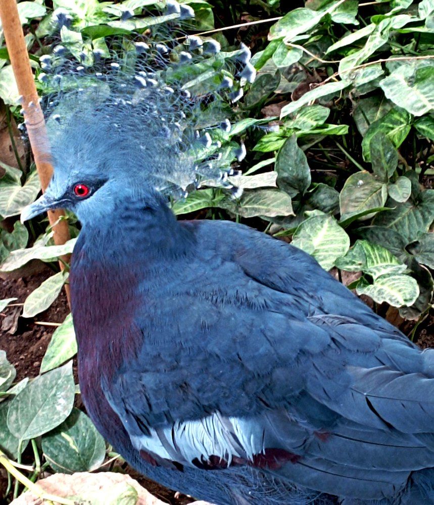 Photograph by леонид натапов