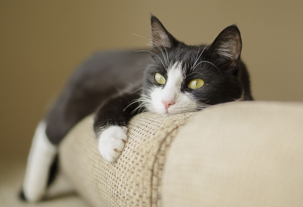 Photograph by Марина Горюнова