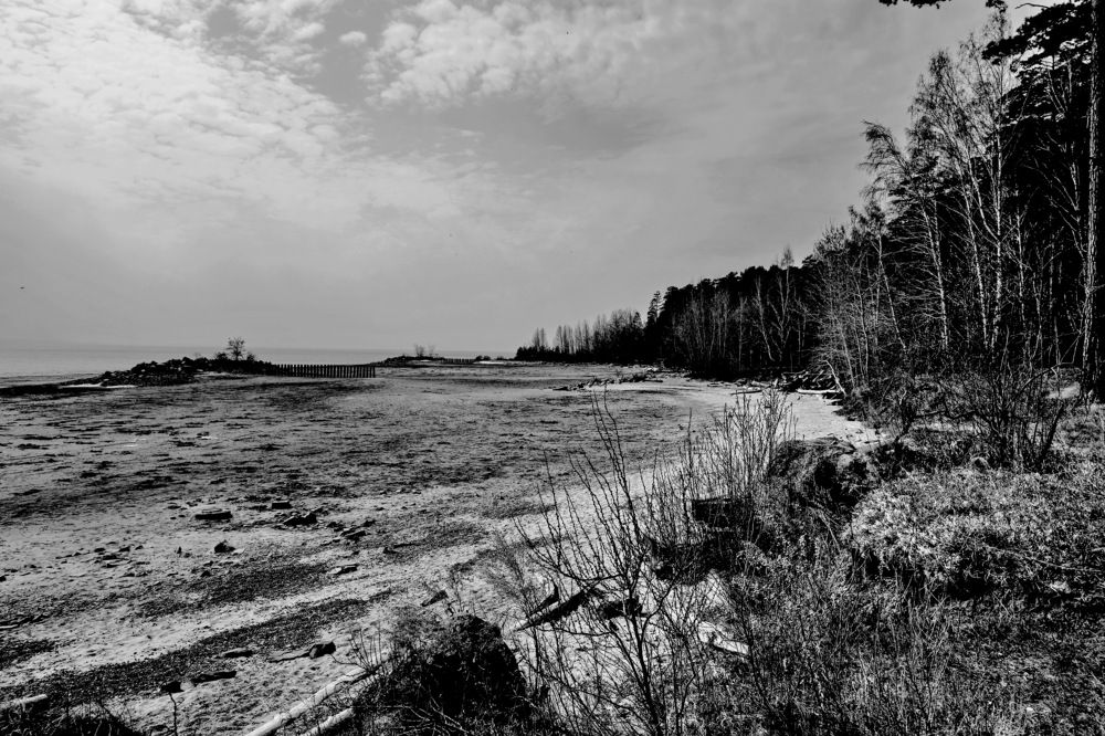 Photograph by Сергей Гребенников