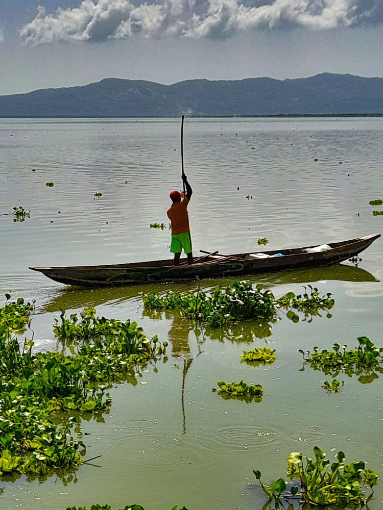 Фотография автора Yako Laverde