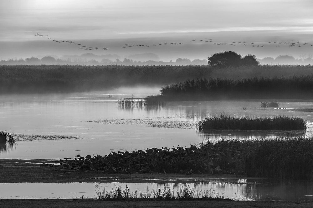 Photograph by Лашков Фёдор