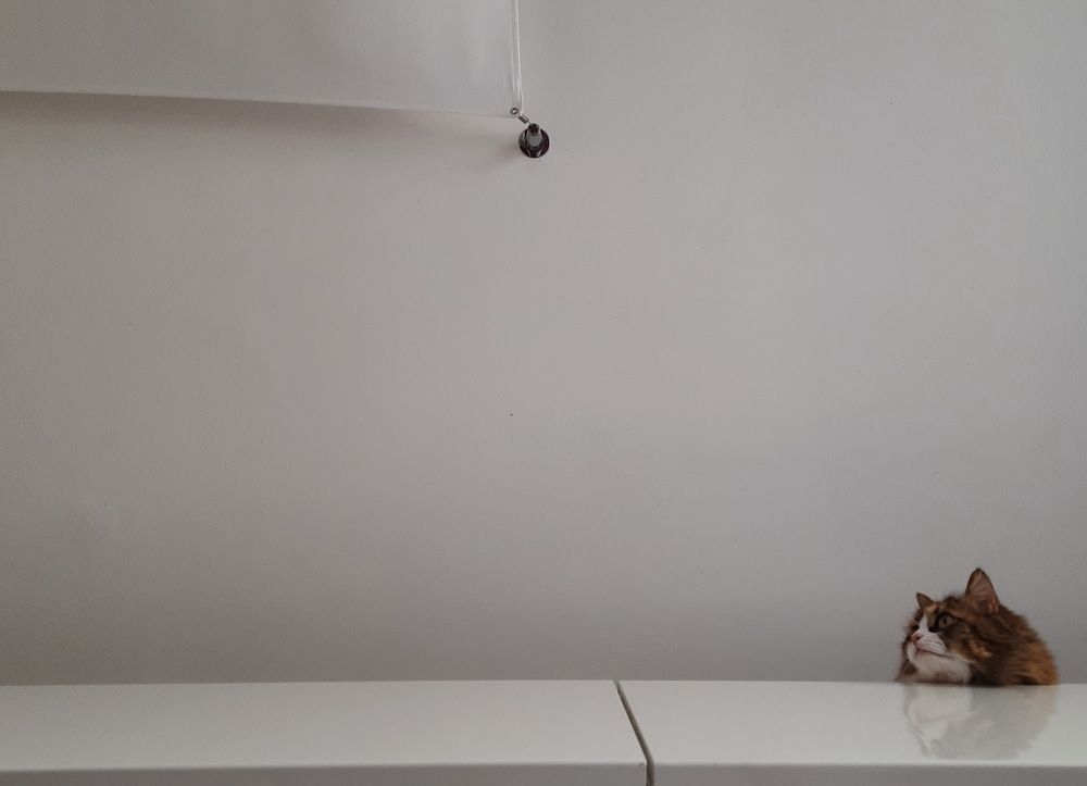 Photograph by Сергей Гребенников