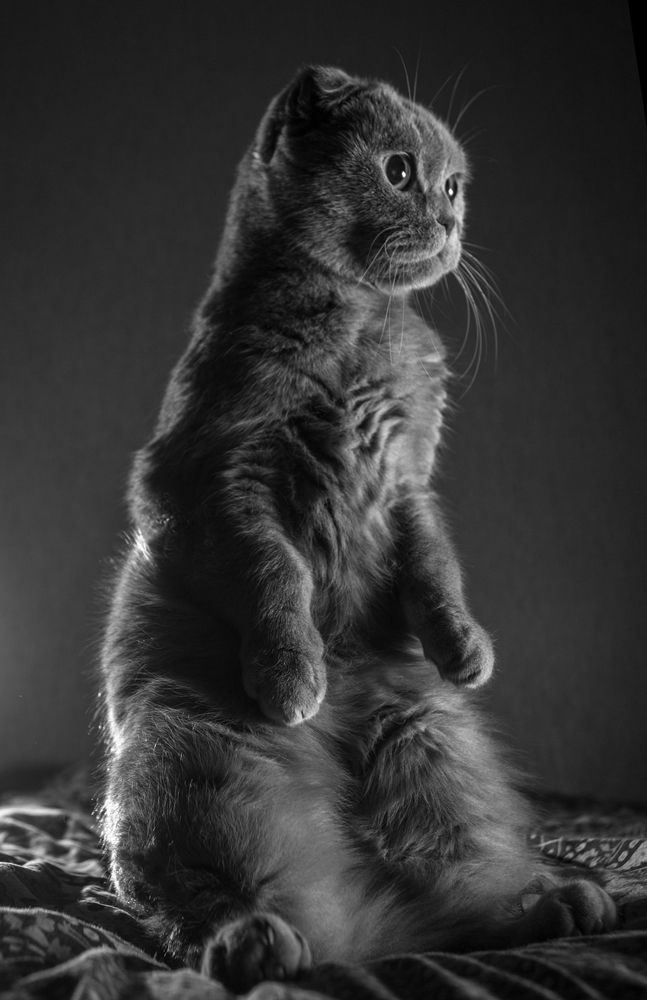 Photograph by Михаил Minyapol