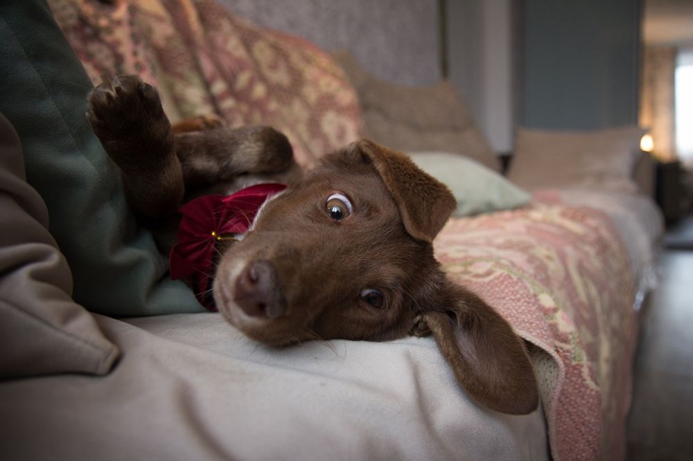 Photograph by Виктория Суркова