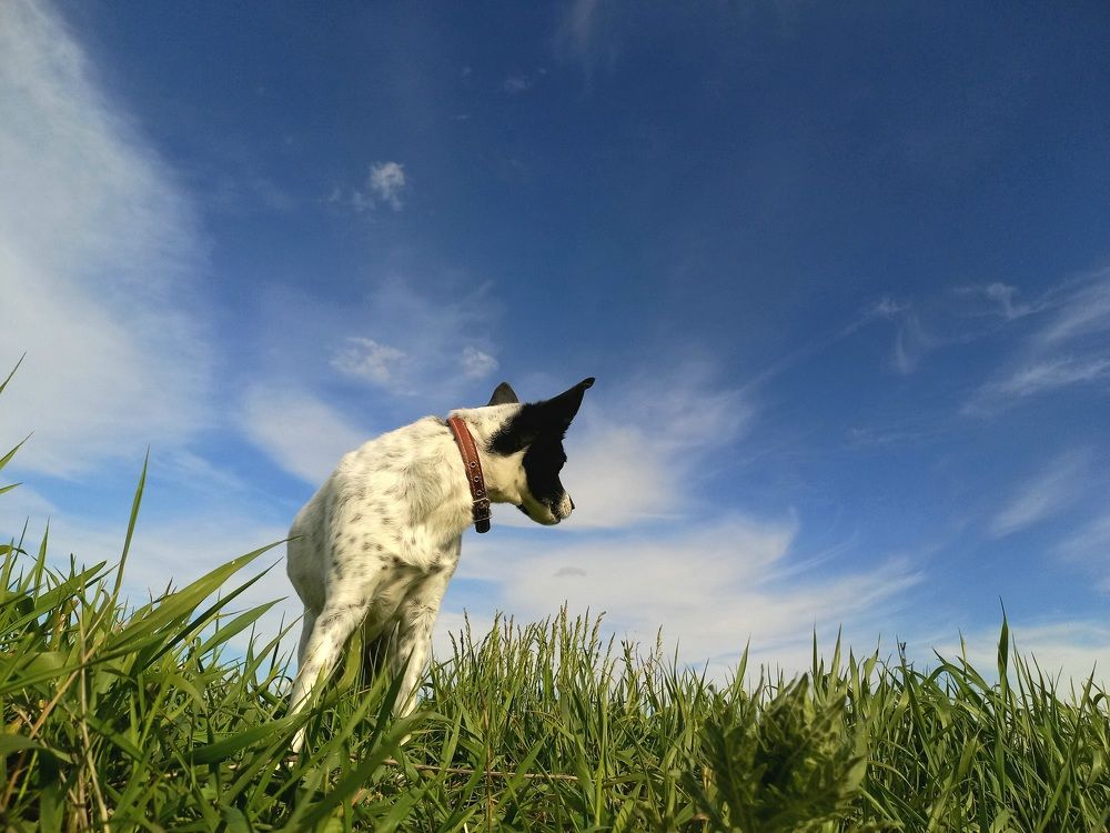Photograph by Виктория Суркова