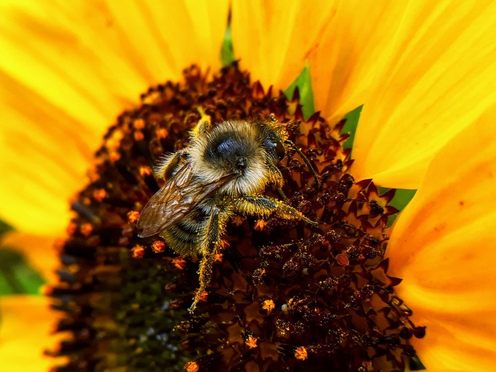 Photograph by Кристина Шляхова