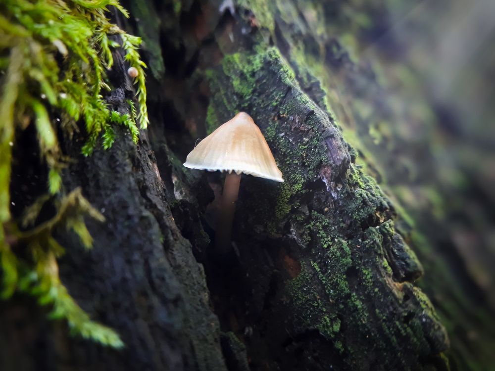 Photograph by Кристина Шляхова