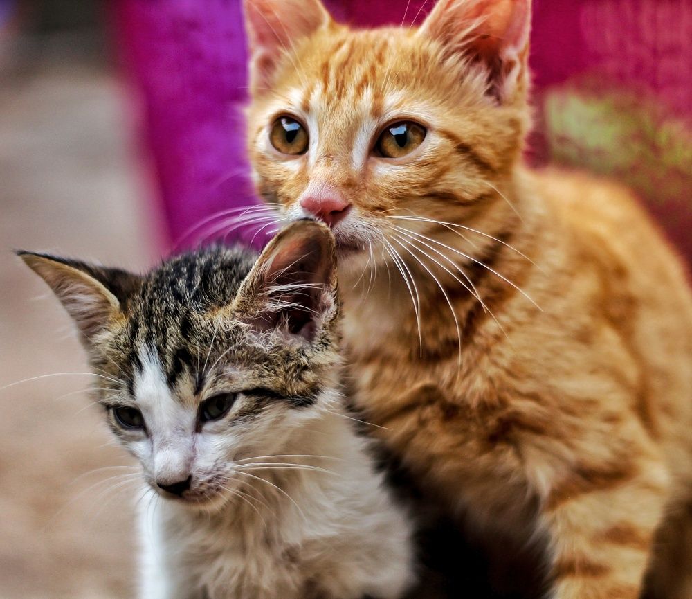 Photograph by Fatima Yusuf