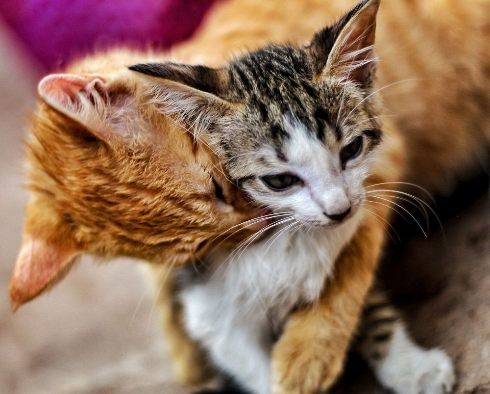 Photograph by Fatima Yusuf