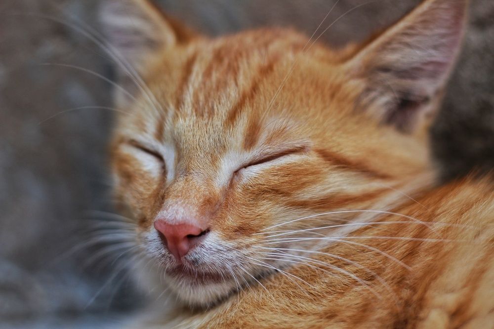 Photograph by Fatima Yusuf