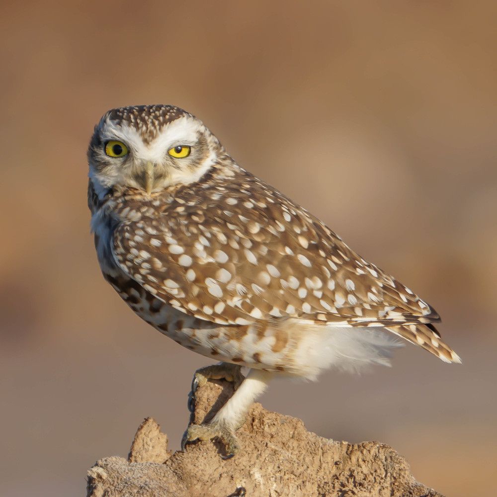 Photograph by Karina Elena Bergagna