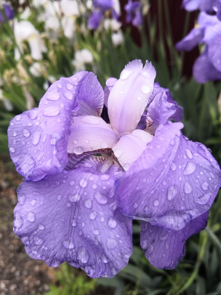 Photograph by Юлия Максименко