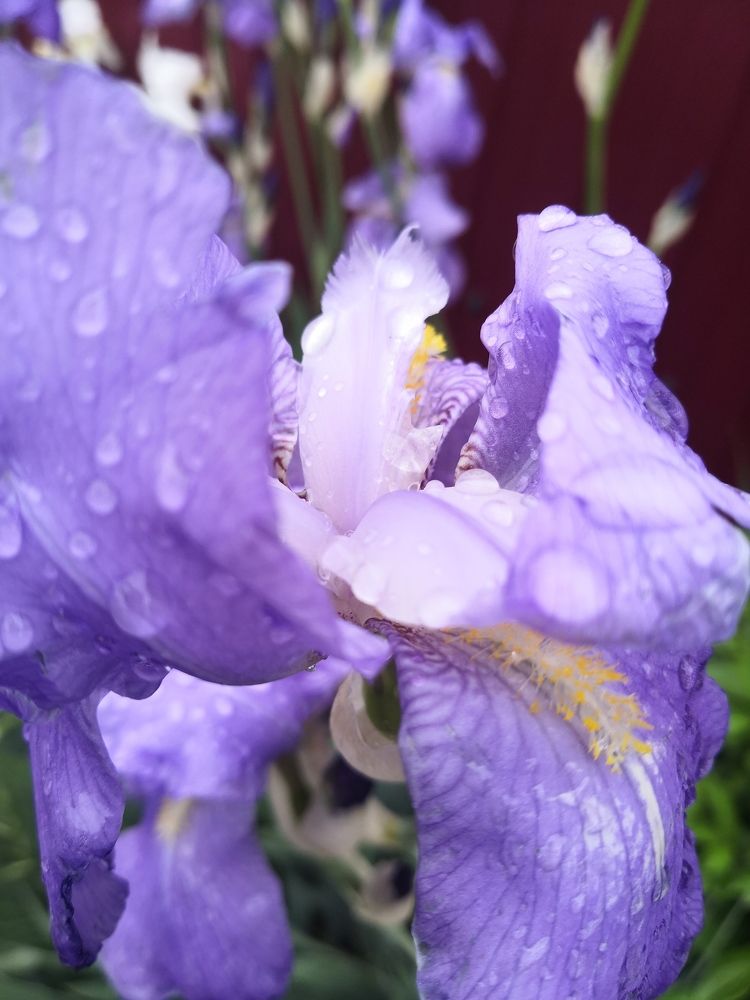 Photograph by Юлия Максименко