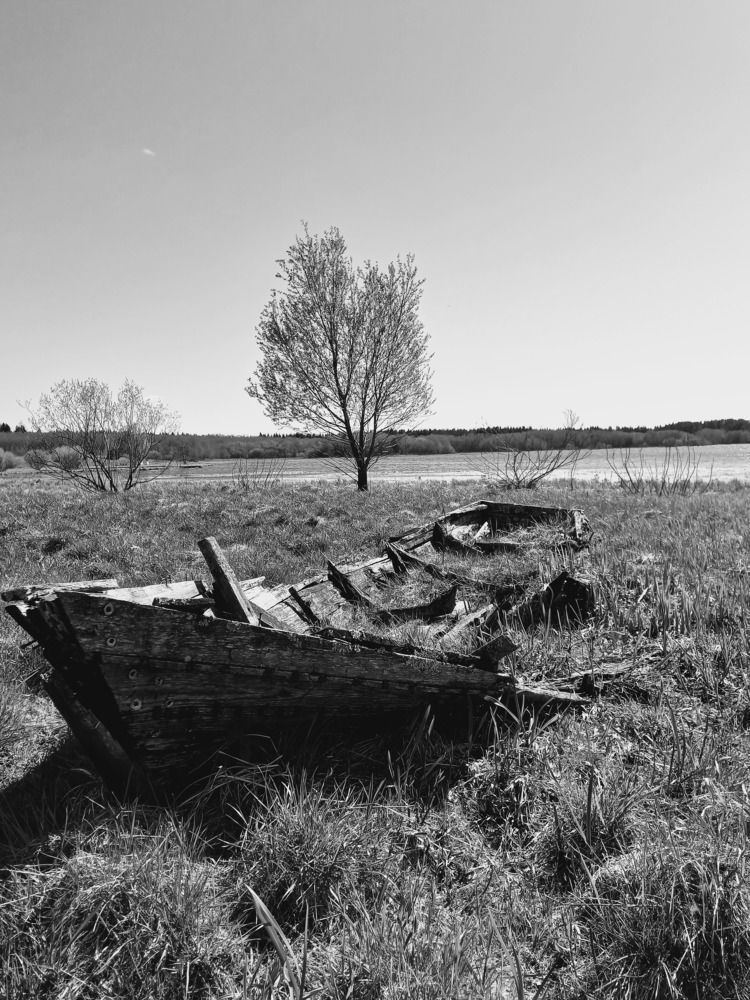 Photograph by Зоя Кулько