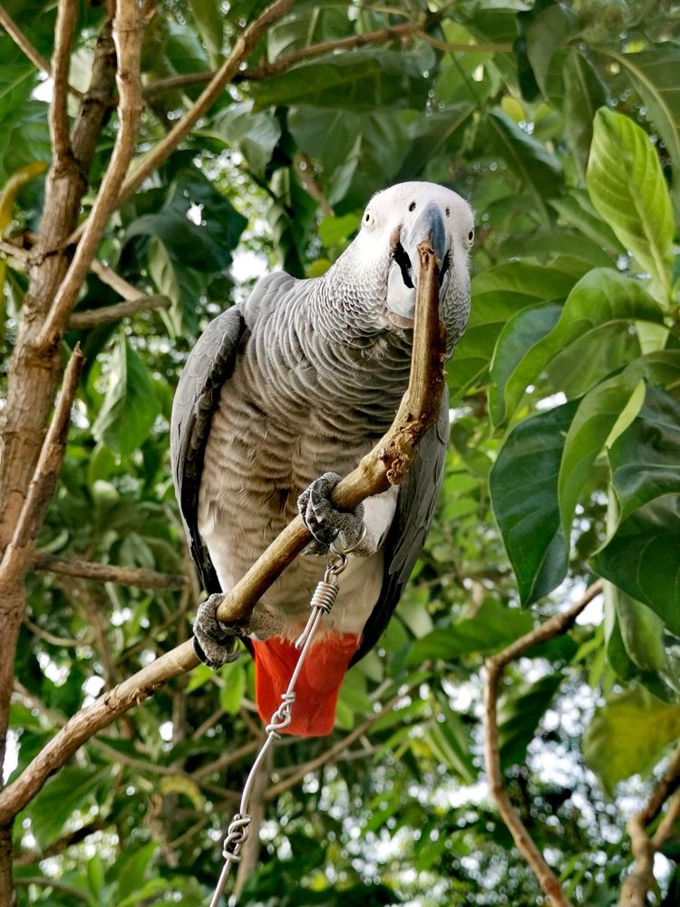 Photograph by Chunhou Poon