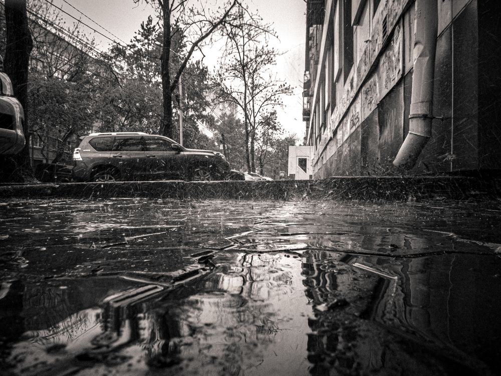 Photograph by Саша Литвин