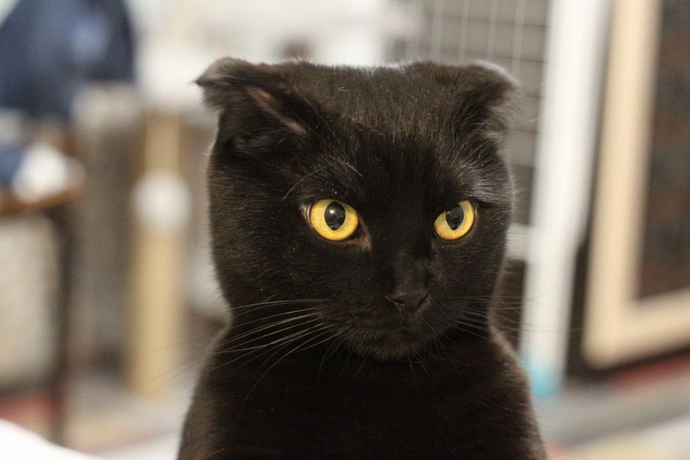 Photograph by Яна Золотоверхая