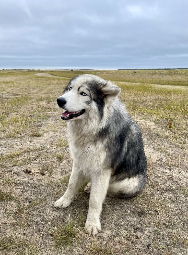 Фотография автора Юлия Шумейко