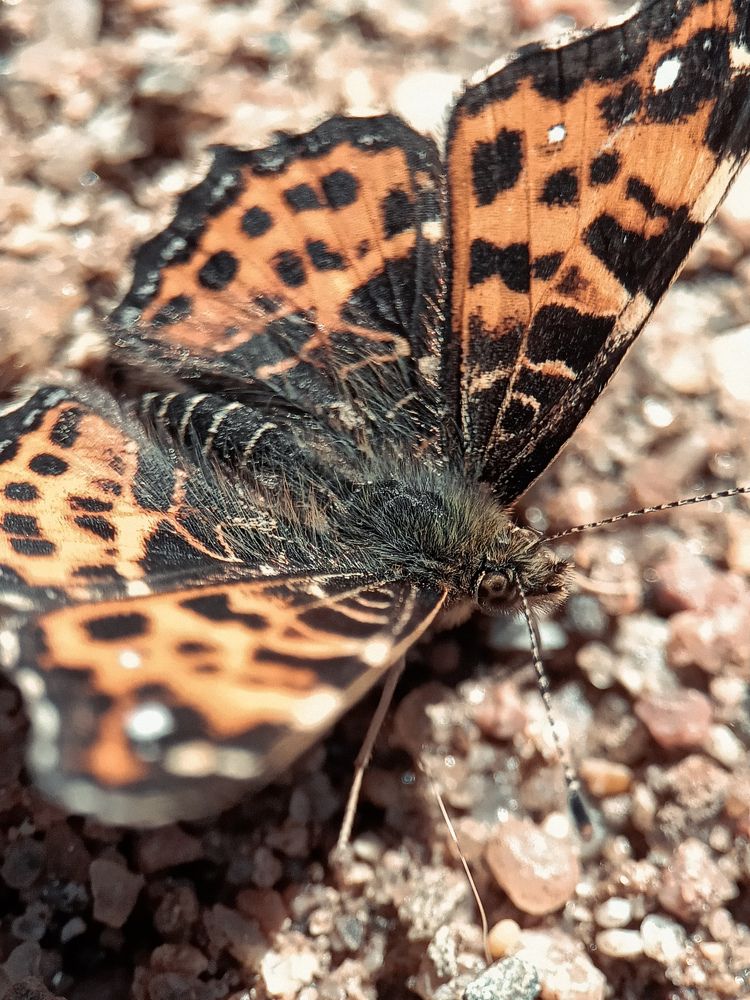 Photograph by Ирина Иванова