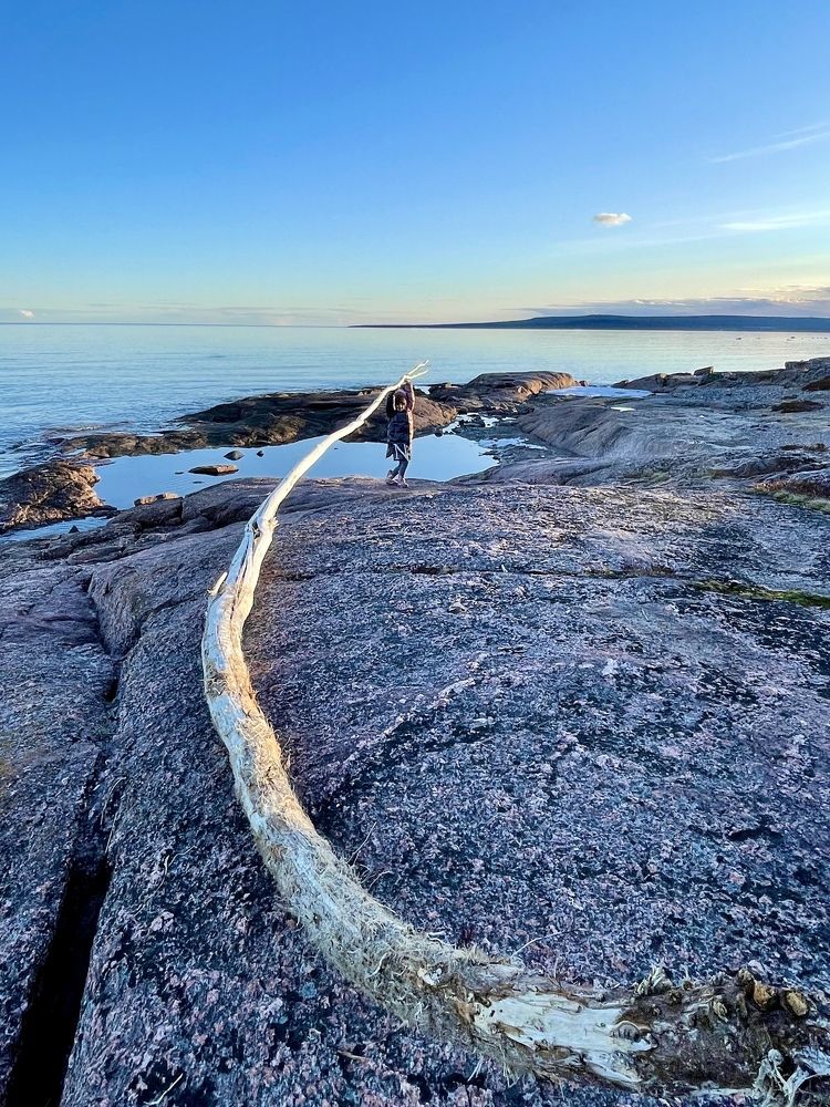 Фотография автора Юлия Шумейко