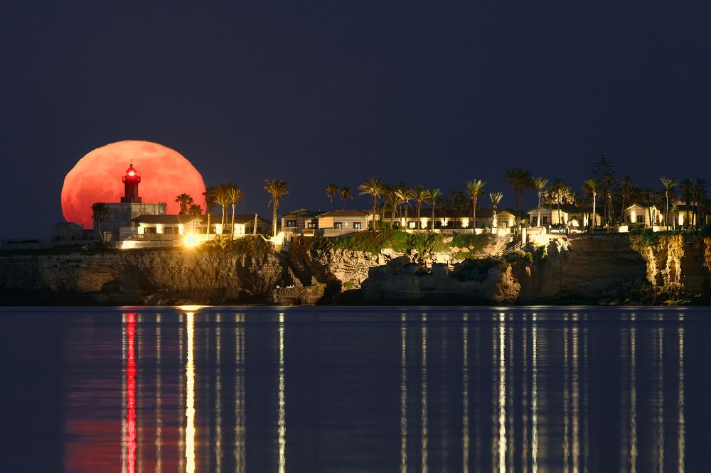 Photograph by Fabio Cartelli