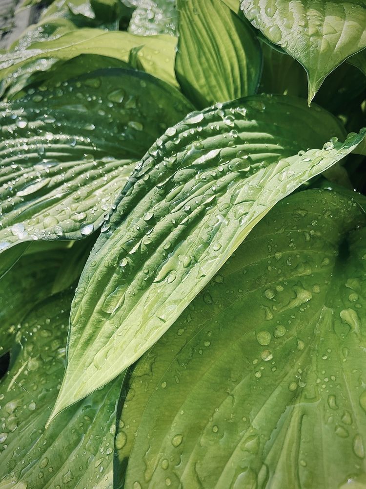 Photograph by Лазарева Анна Игоревна