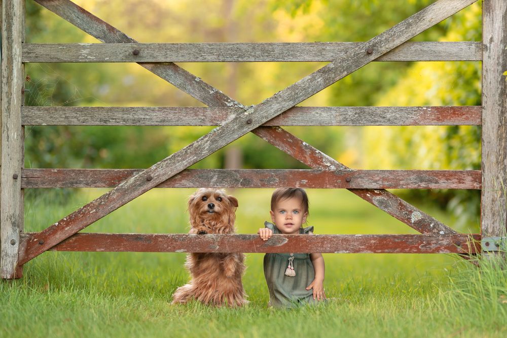 Photograph by Daniel Baksza